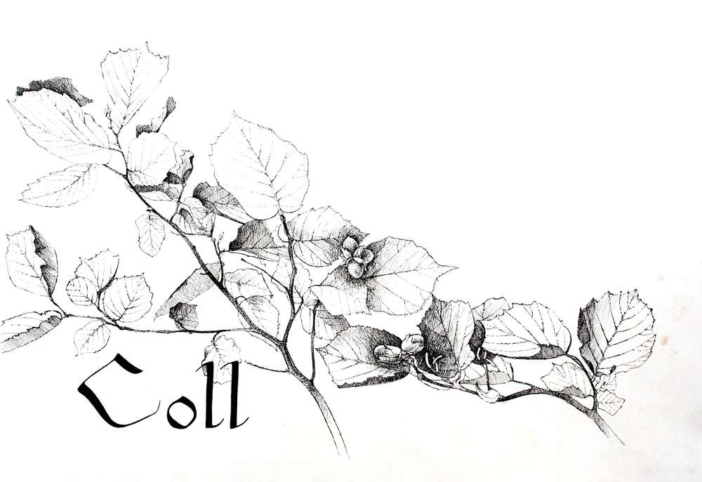 Studio Blog October 2020